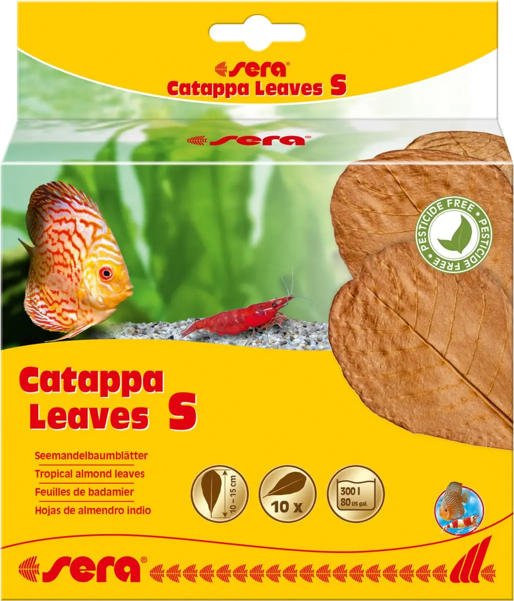 Sera Catappa Bladeren 10 Stuks 10-15cm