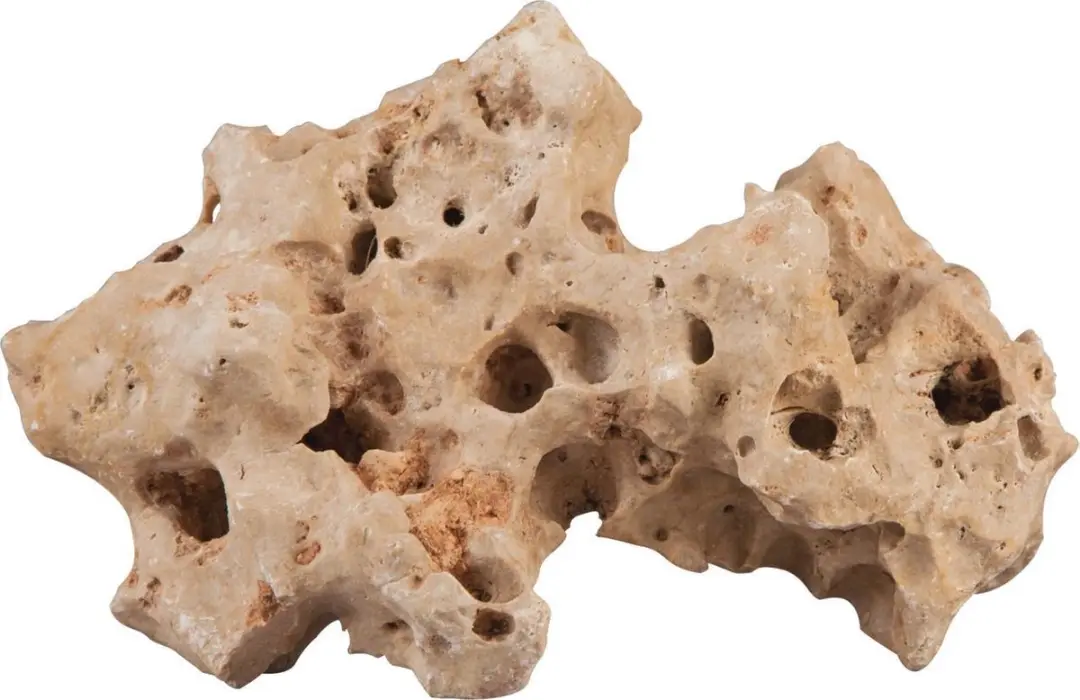 Sera Rock Hole Stone L