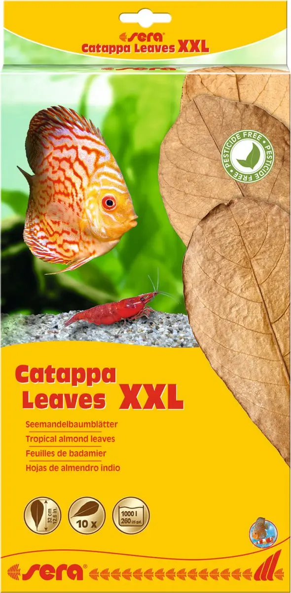 Sera Catappa Bladeren 10 Stuks 30-35cm