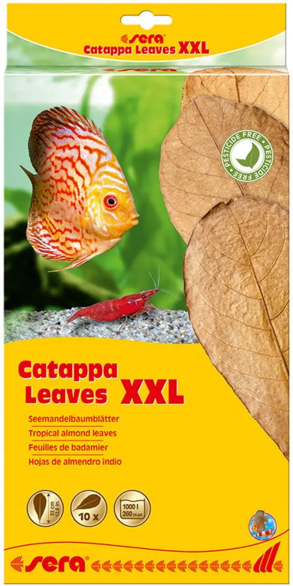 Sera Catappa Bladeren 10 Stuks 30-35cm