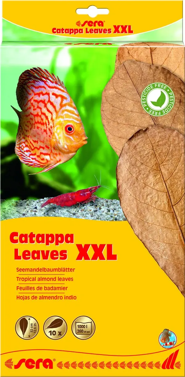 Sera Catappa Bladeren 10 Stuks 30-35cm