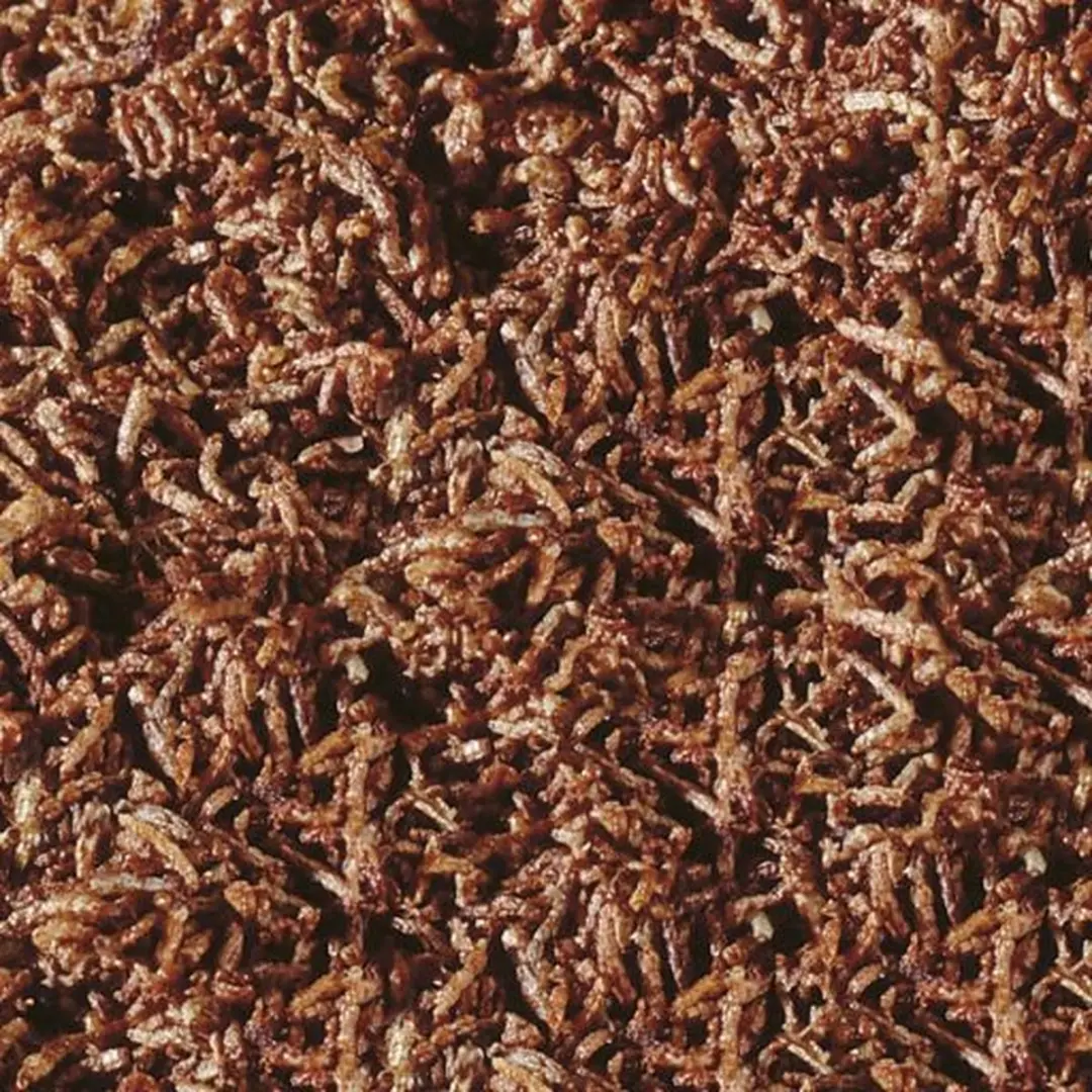 Sera Bloodworms FD Snack 100ml