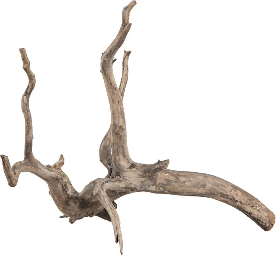 Sera Scaper Root XS