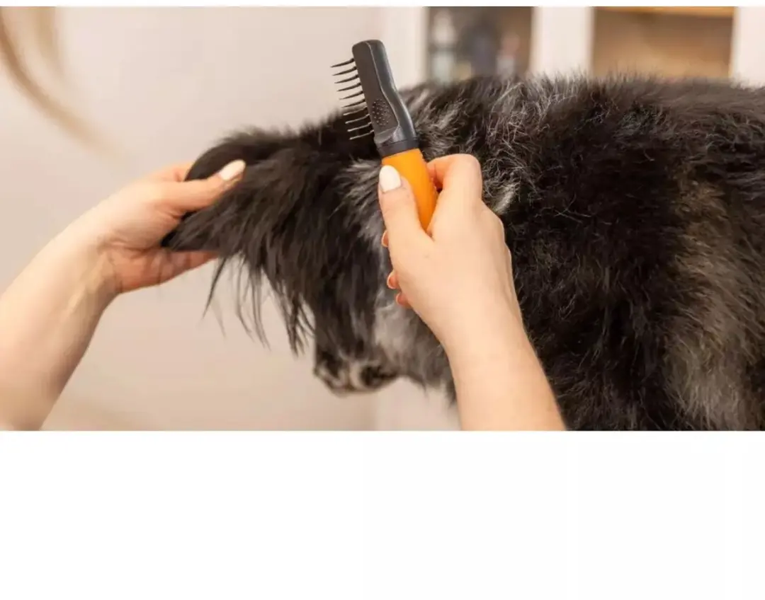 Wahl Dematter Ontklitterkam voor Honden - RVS Gebogen Tanden