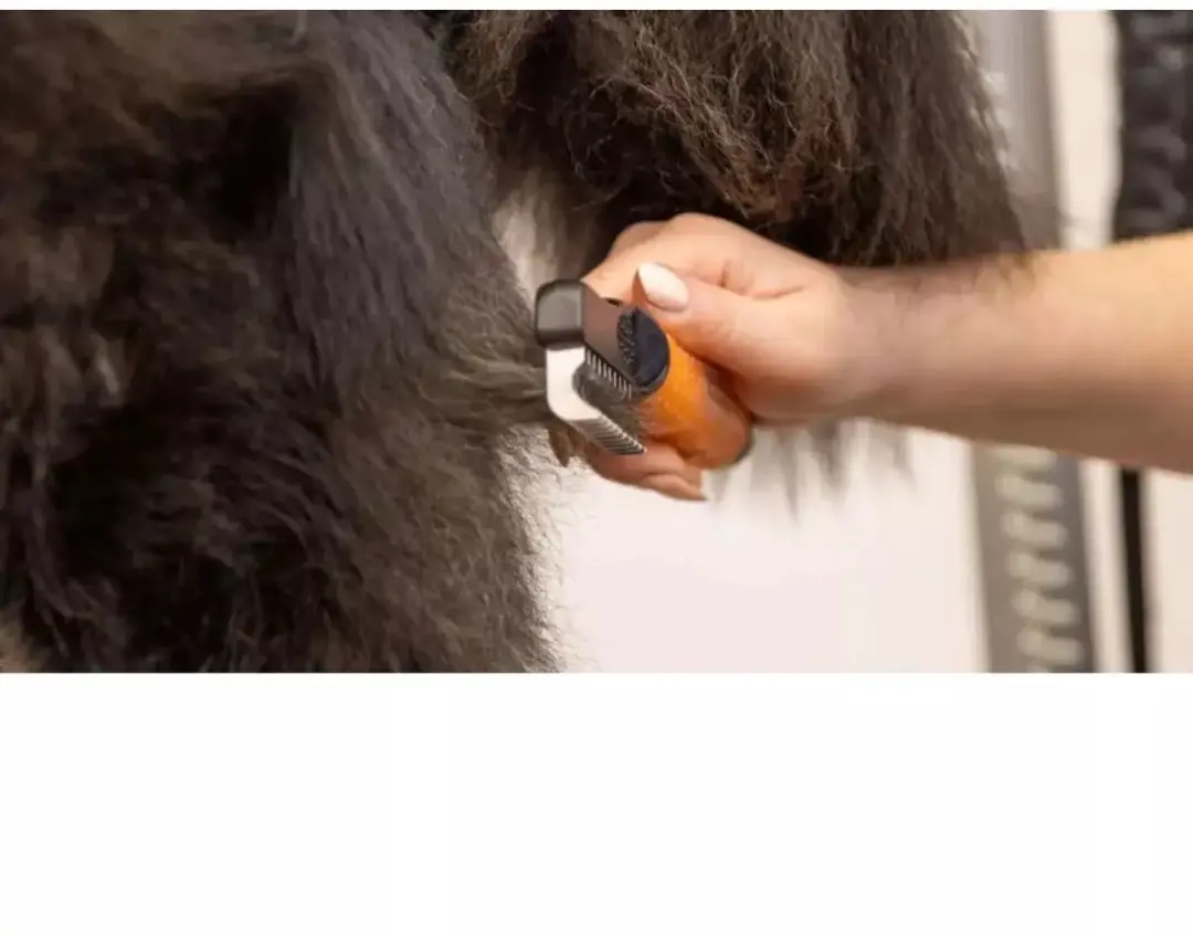 Wahl Dematter Ontklitterkam voor Honden - RVS Gebogen Tanden