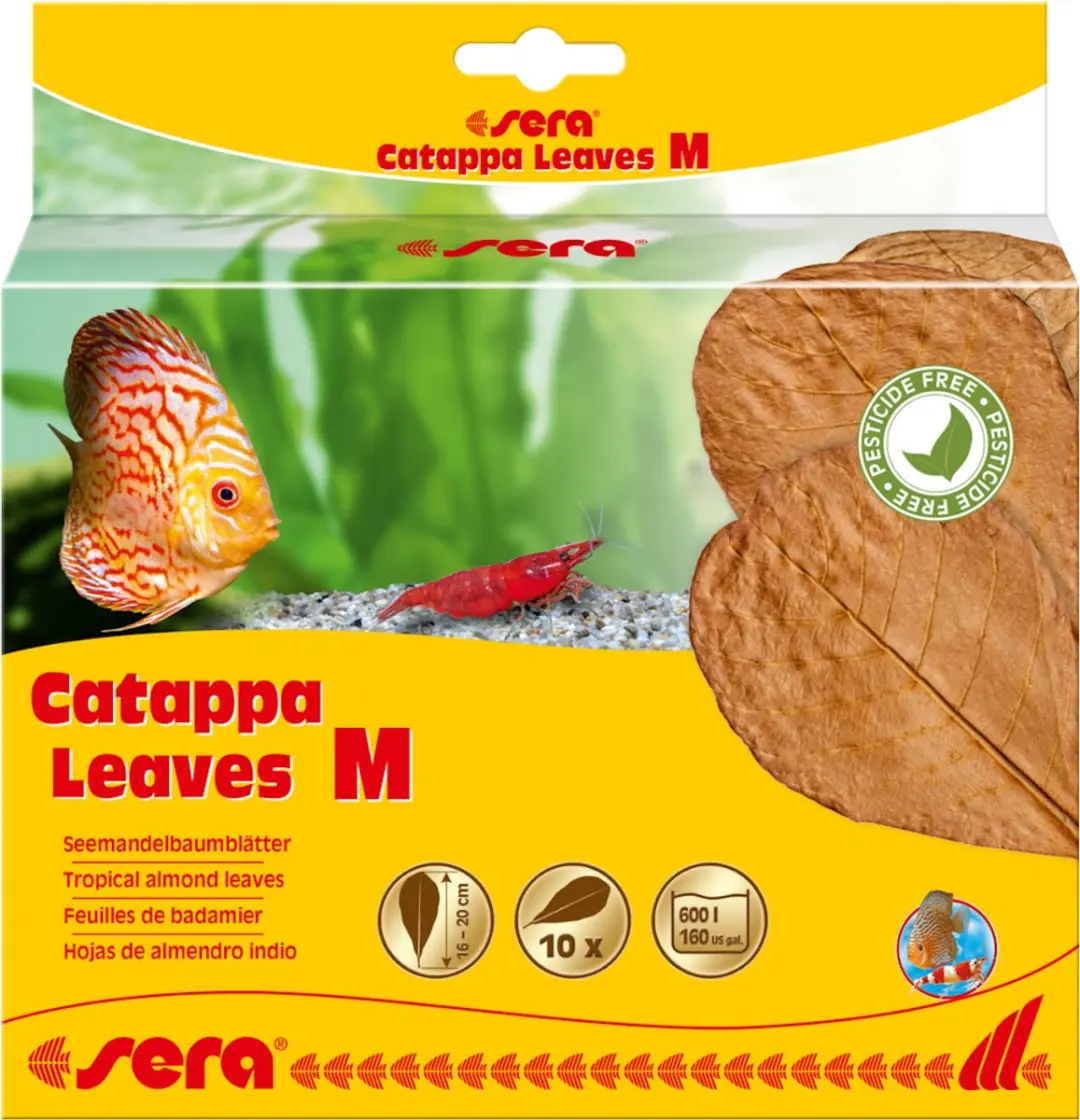 Sera Catappa Bladeren 10 Stuks 16-20cm