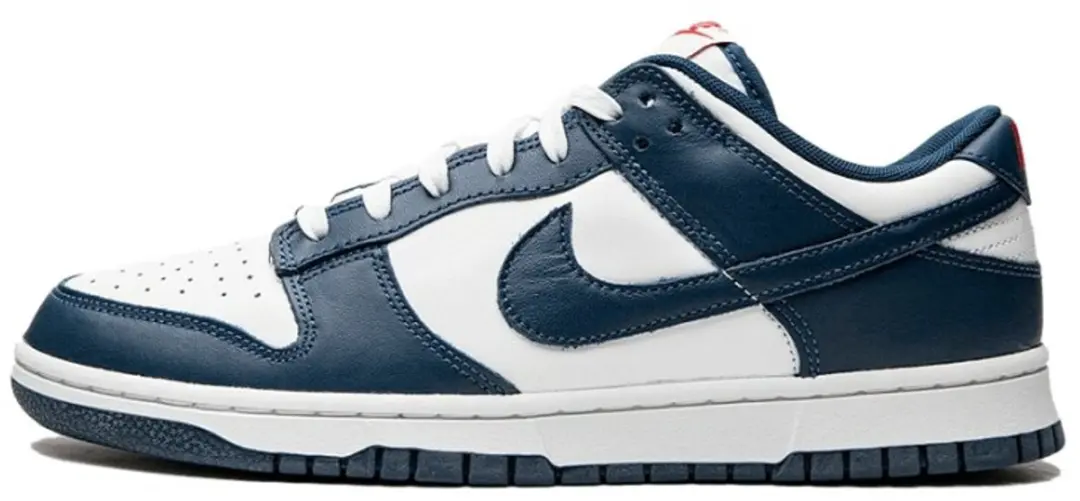 Nike Dunk Low Retro Sneakers DD1391-400