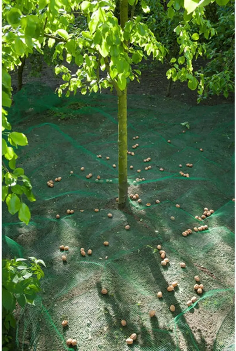 Nature Raapnet 4,3x4,3m - 6x6mm Groen