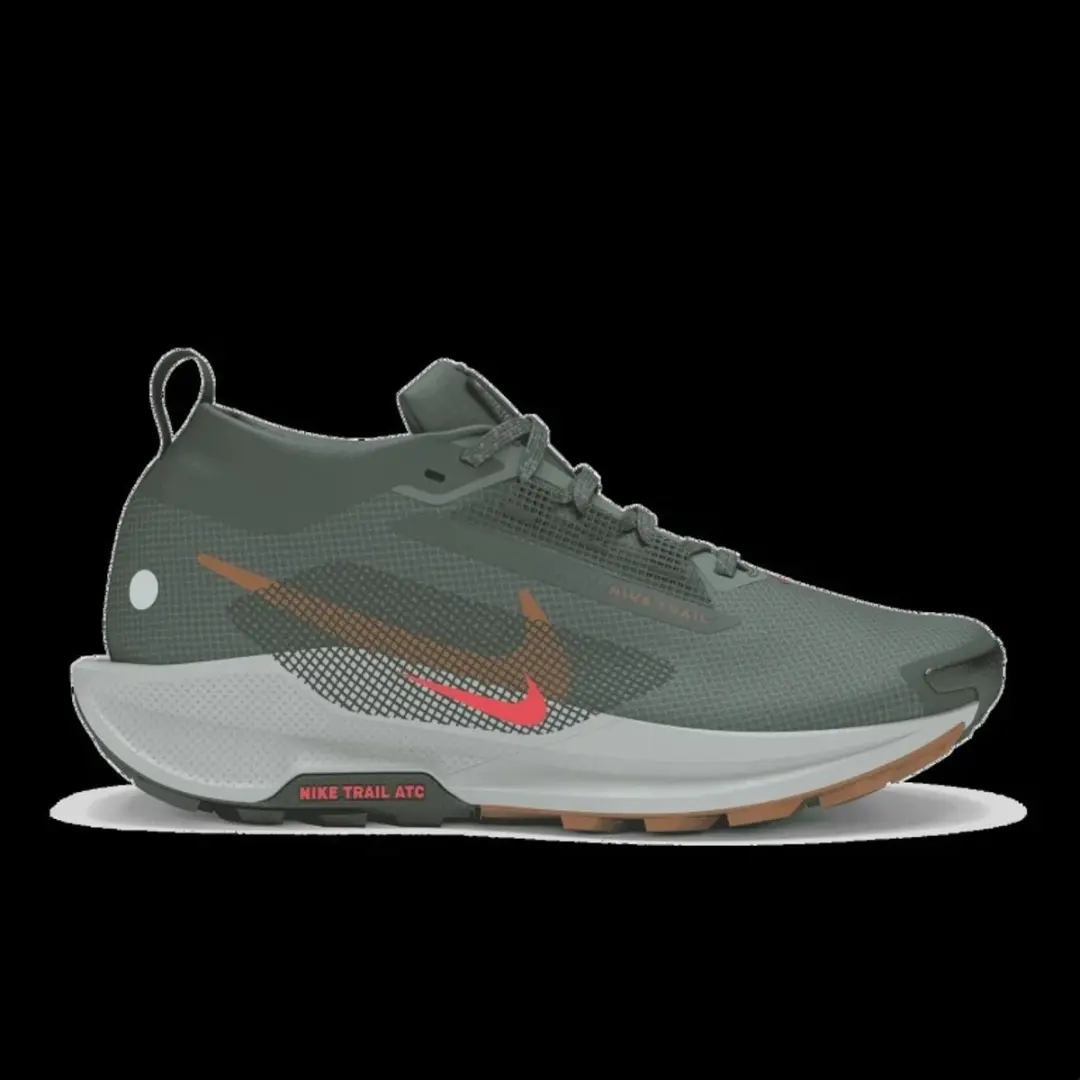 Nike Pegasus Trail 5 GTX Heren