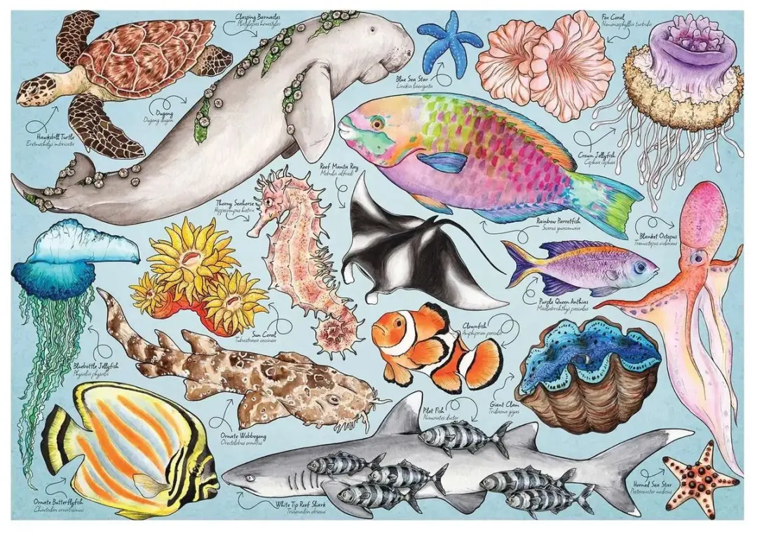 House Of Puzzles Great Barrier Reef Puzzel 1000 Stuks - HP0805