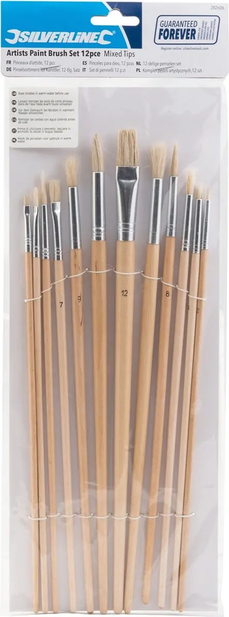 Silverline Penselen Set 12-delig - Platte/Ronde/Spitse Punten