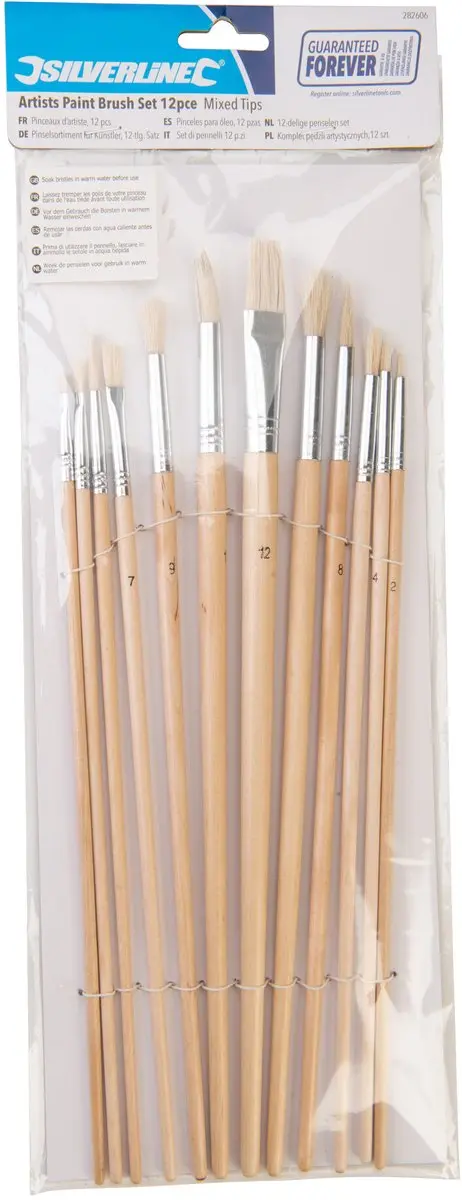 Silverline Penselen Set 12-delig - Platte/Ronde/Spitse Punten