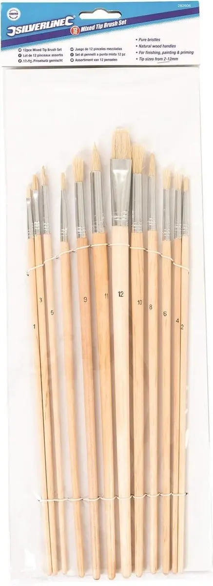 Silverline Penselen Set 12-delig - Platte/Ronde/Spitse Punten