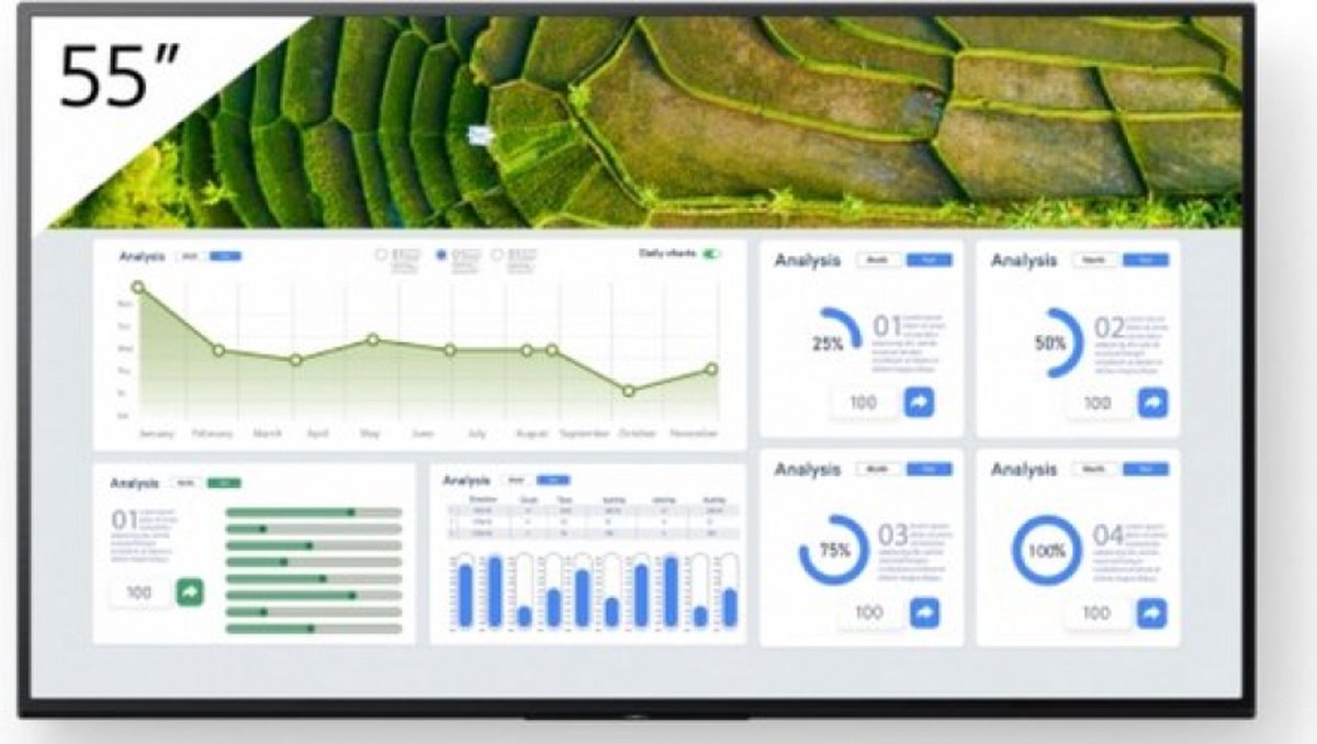 Sony BRAVIA Professional FW-55BZ30L display