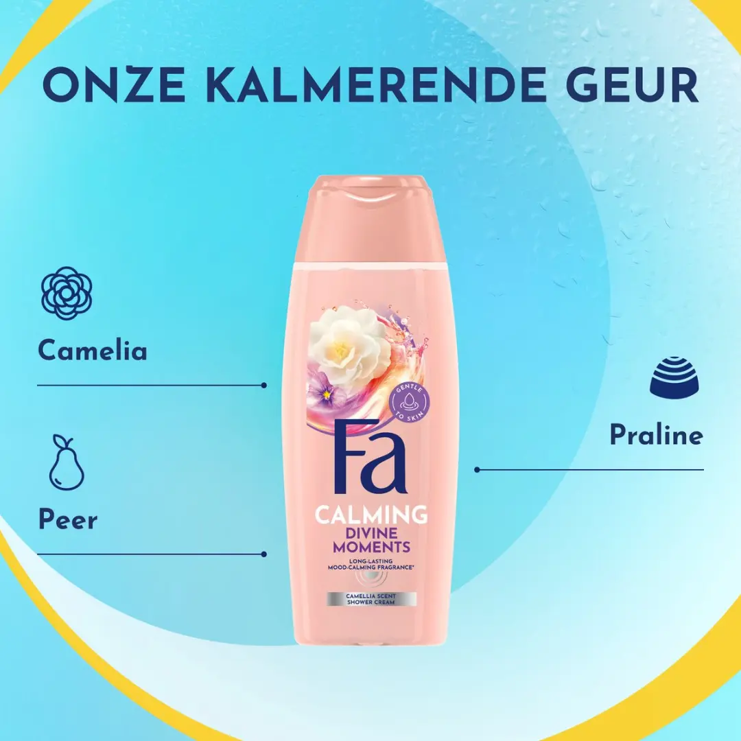 Fa Divine Moments Douchegel 250ml - 12 Stuks