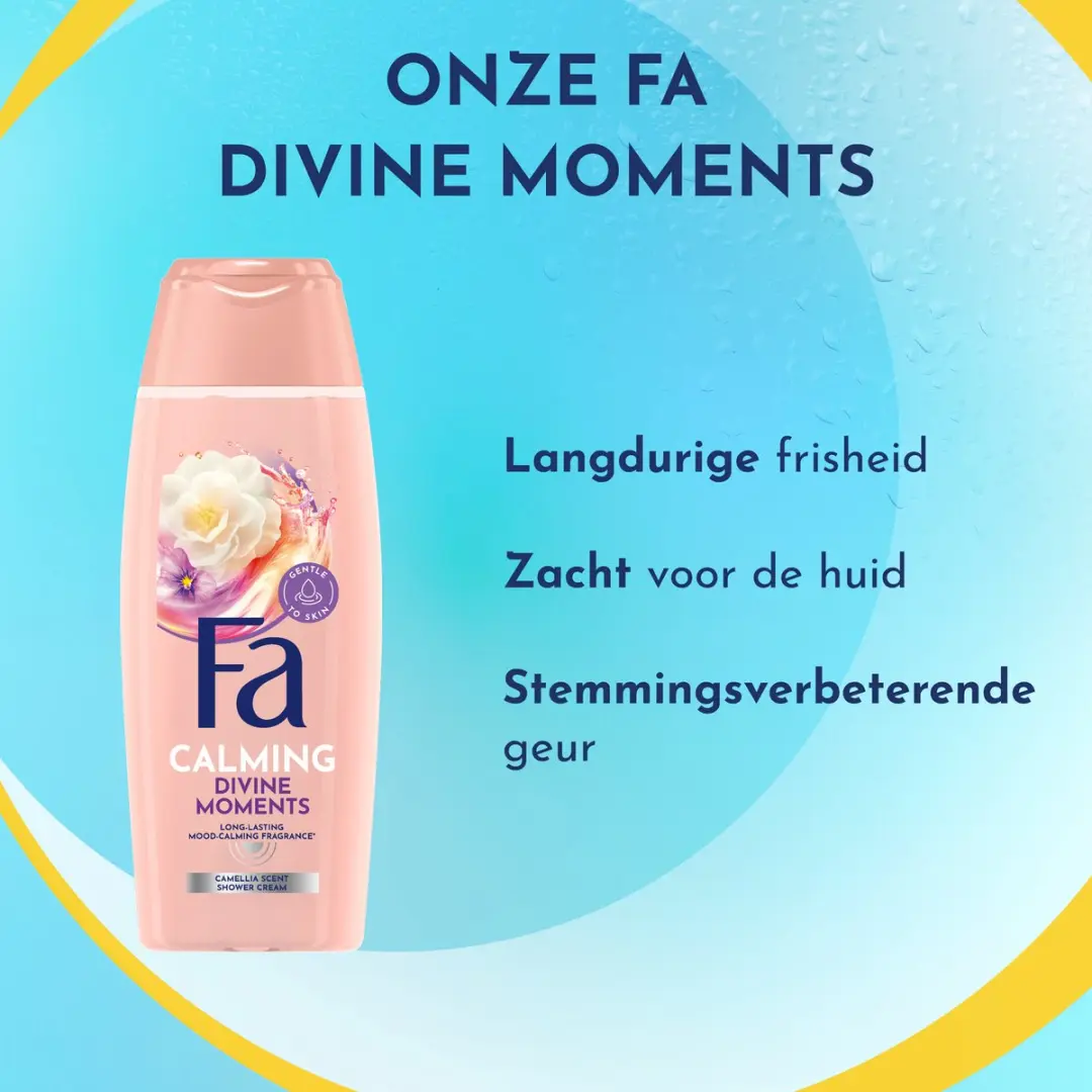 Fa Divine Moments Douchegel 250ml - 12 Stuks