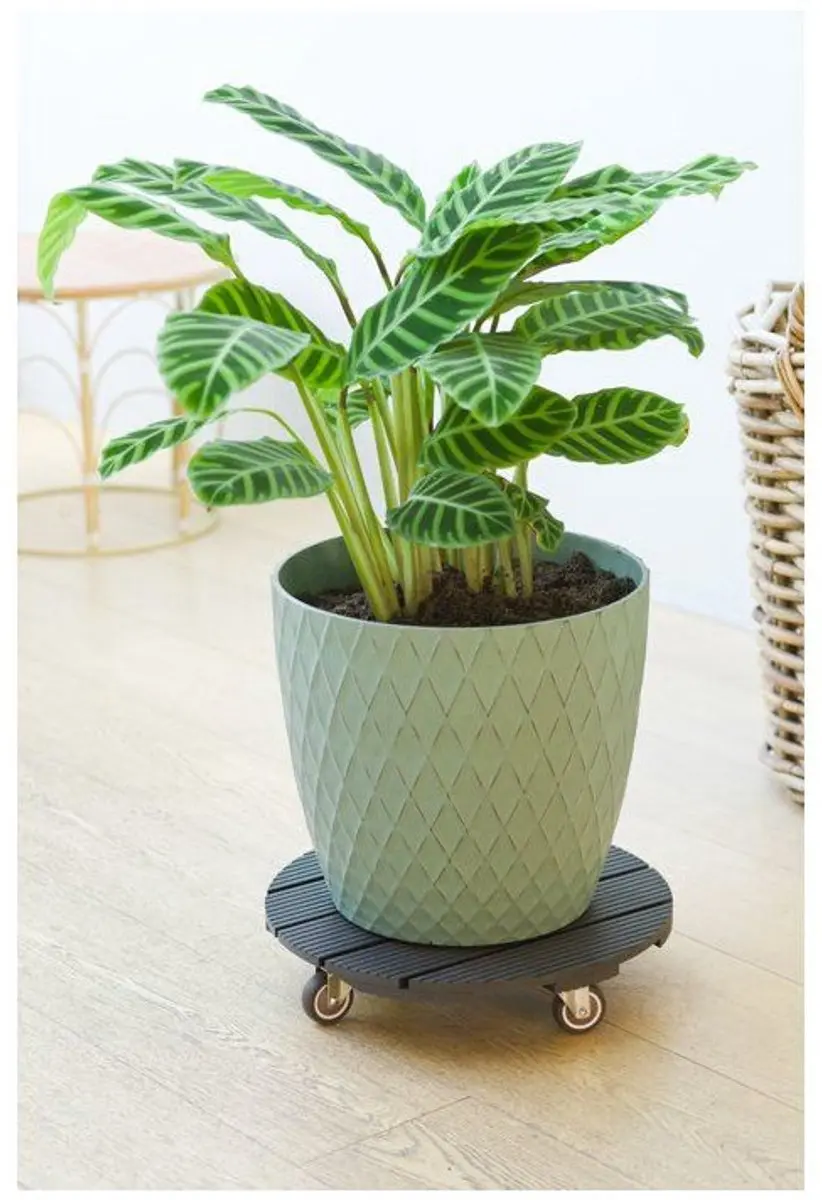 Nature WPC Planten Trolley 4Wielen - Antraciet