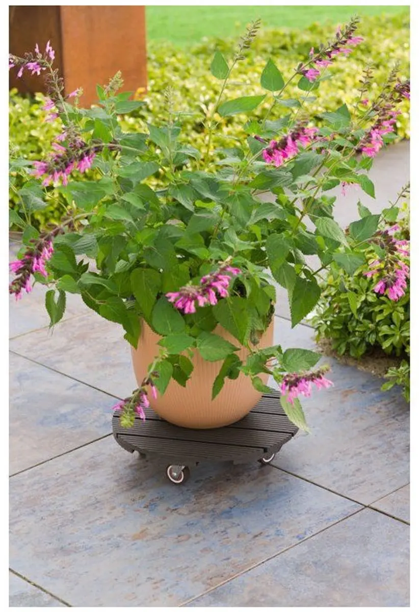 Nature WPC Planten Trolley 4Wielen - Antraciet