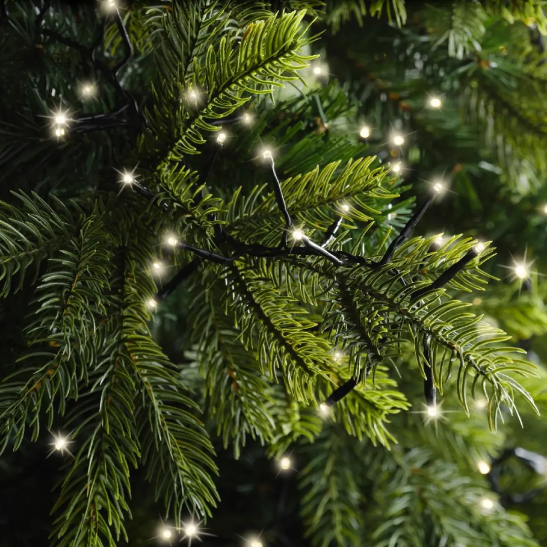 Lumineo LED Excellent Twinkle 10m - 648 LEDs Meerkleurig