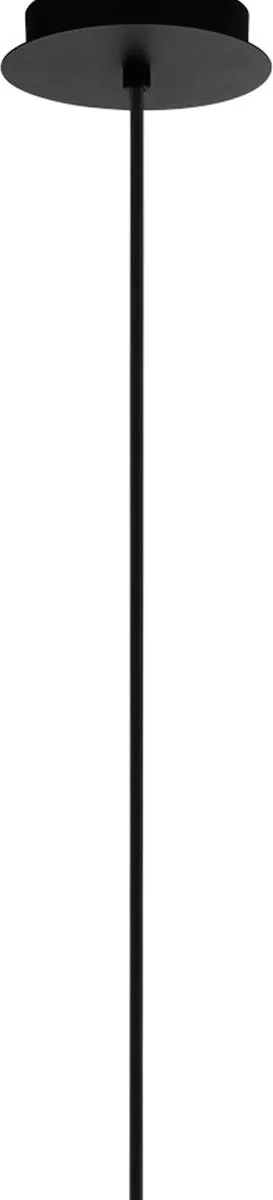 Eglo Pozueta Hanglamp E27 - Ø12,5cm - Zwart