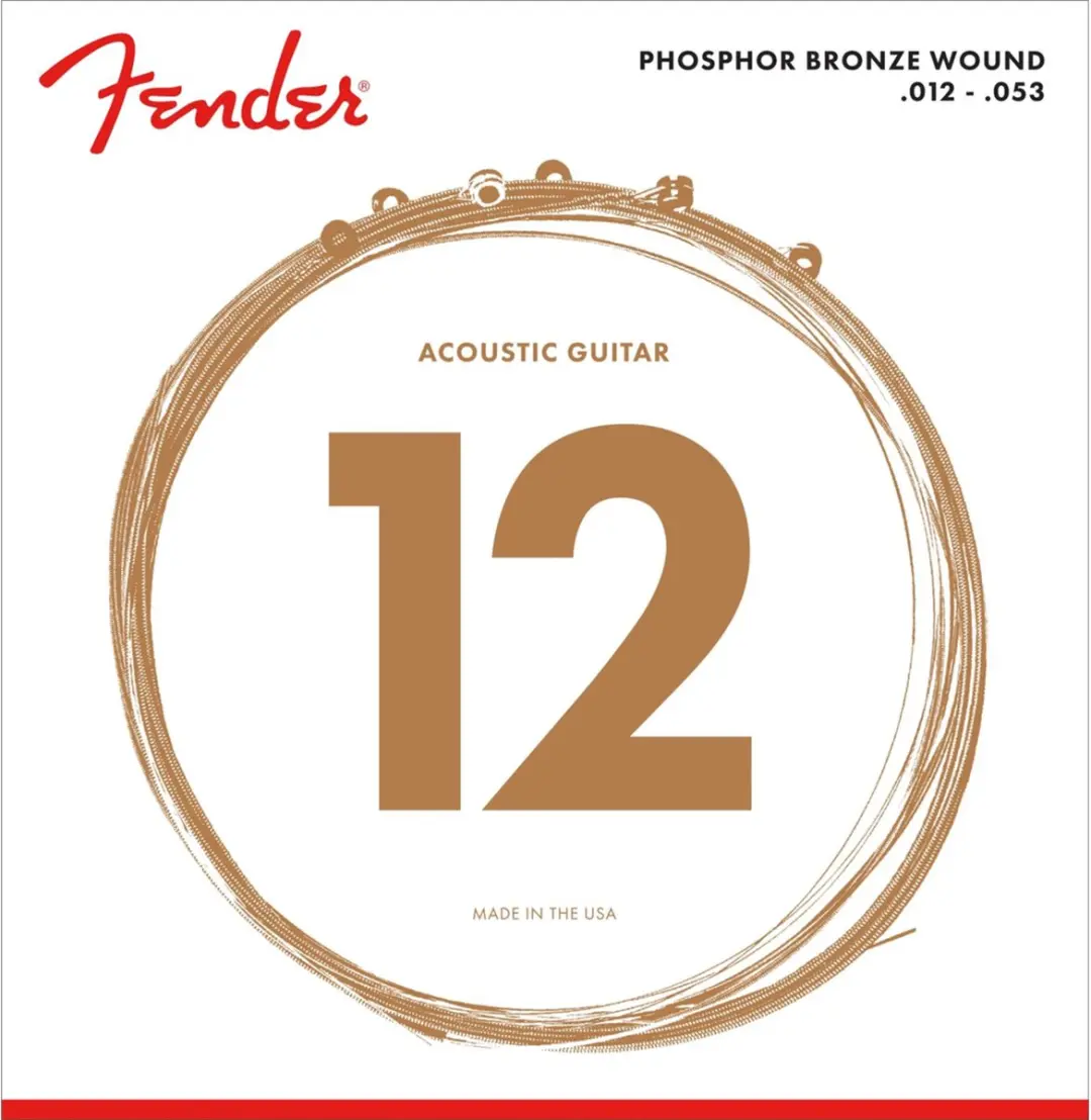 Fender A-Git 60L Akoestische Snaren