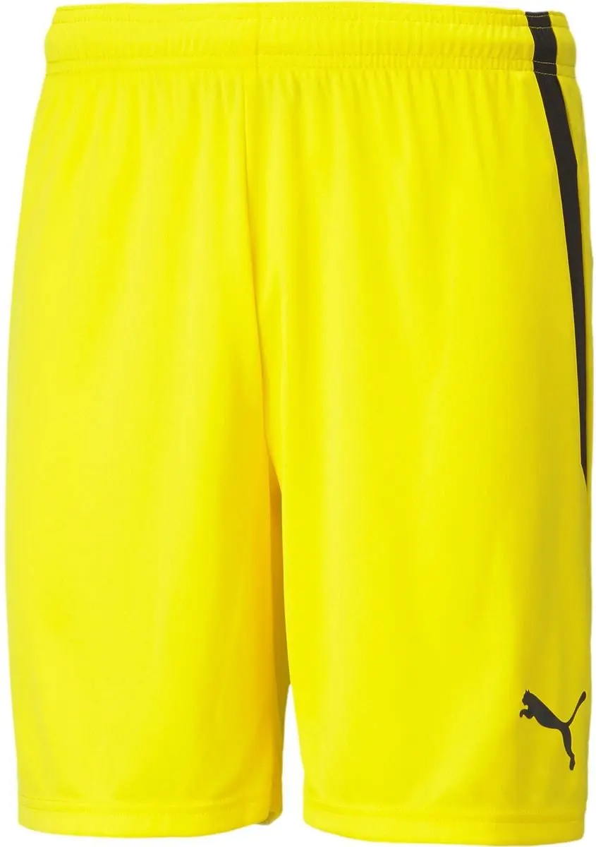 PUMA Teamliga Short Kinderen