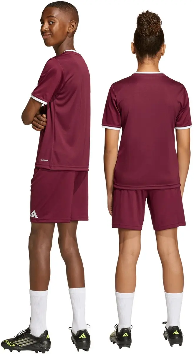 Adidas Entrada 26 Korte Broek - 116 cm - Team Maroon/White
