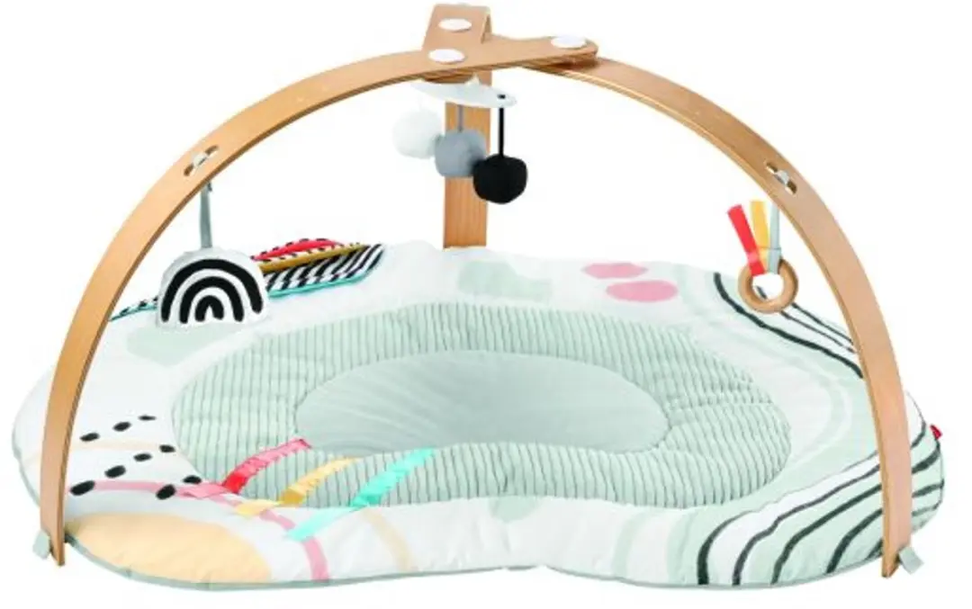 Skip Hop Discoverosity Babygym