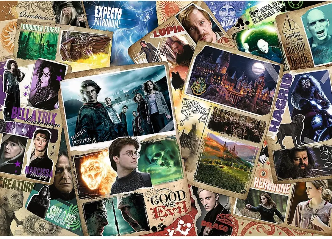 Trefl Harry Potter Personages 1000 Stuks