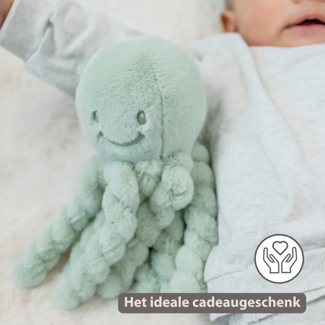 Nattou Lapidou Doudou Octopus 22cm - Lindegroen