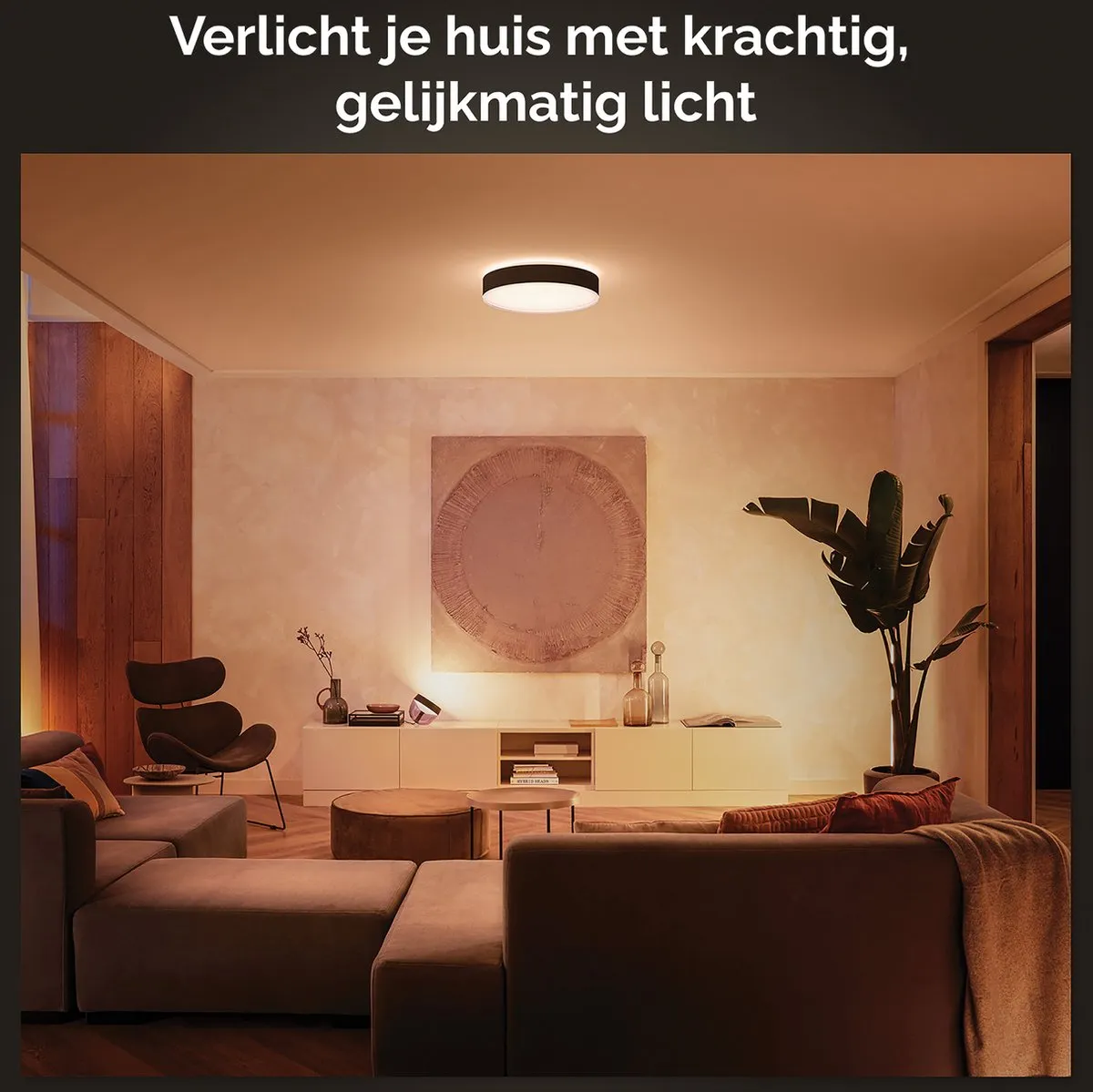Philips Hue Enrave Plafondlamp 42cm - Zwart