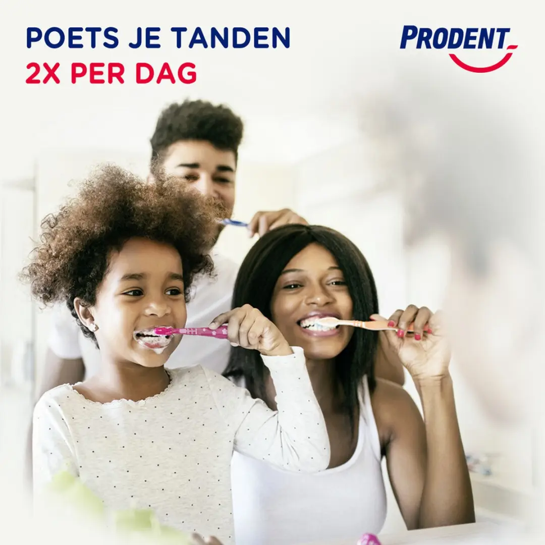 Prodent Cool Mint Tandpasta - 6x75ml