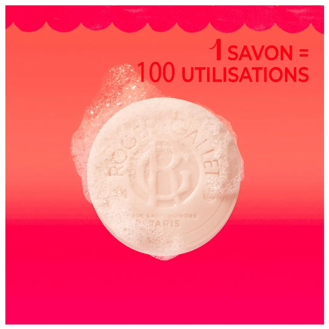 Roger & Gallet Gingembre Blokzeep 100g