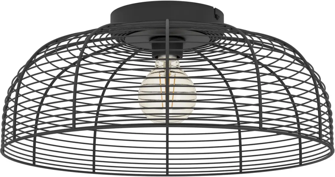 Eglo Derwen Plafonnière E27