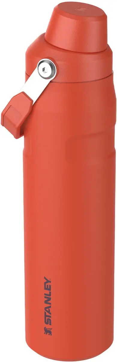 Stanley Aerolight IceFlow Waterfles 0.6L - Tigerlily Plum