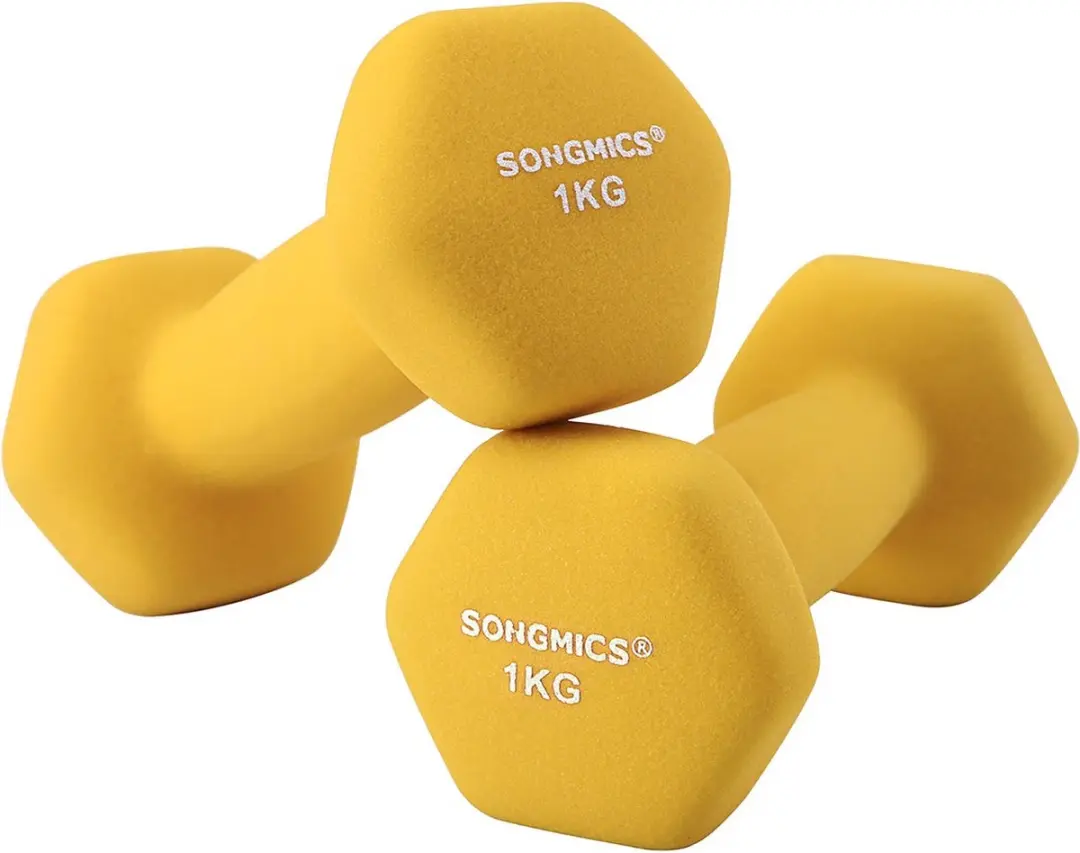 Songmics Halters 2x1kg