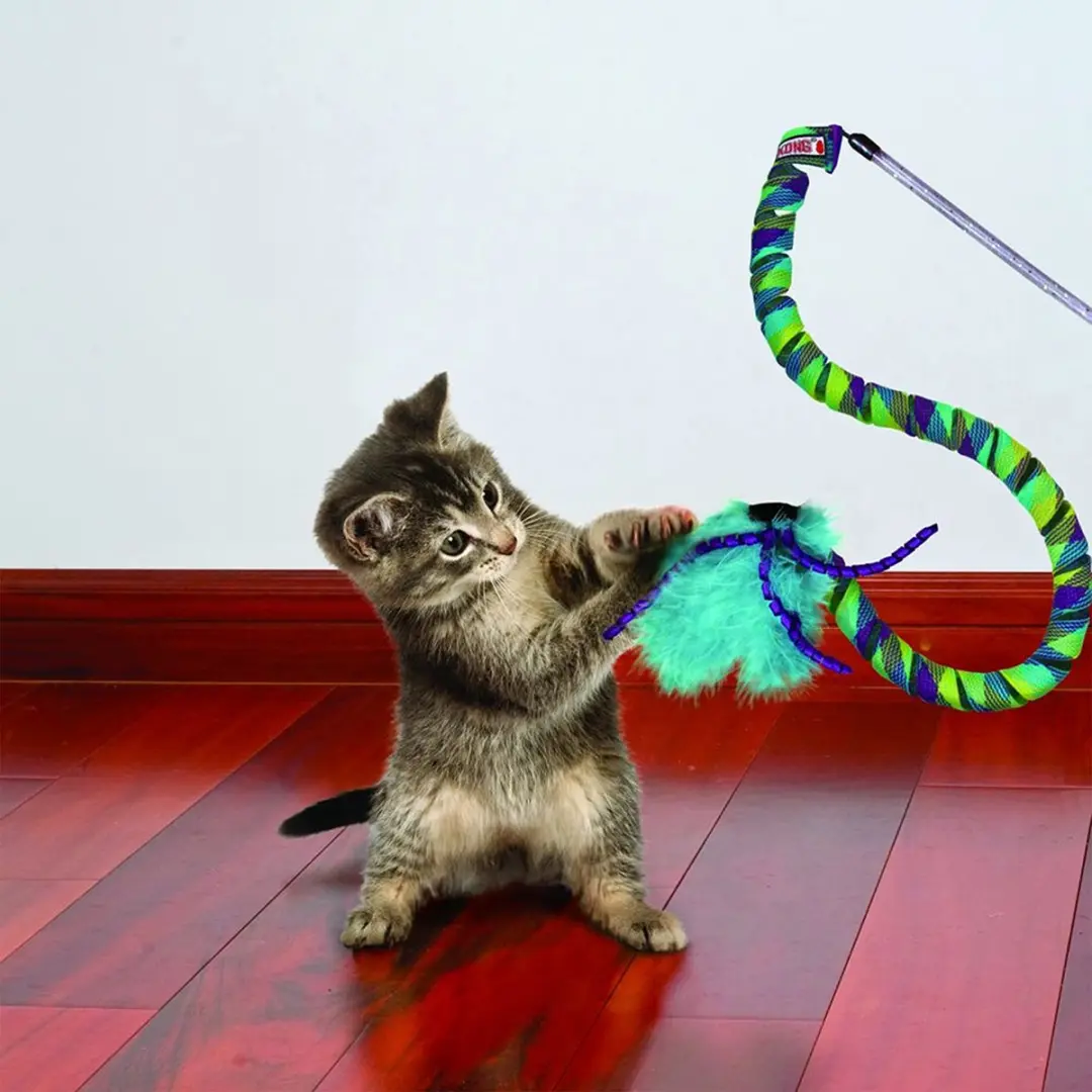 KONG Curlz Katten Speeltje - Turquoise/Paars