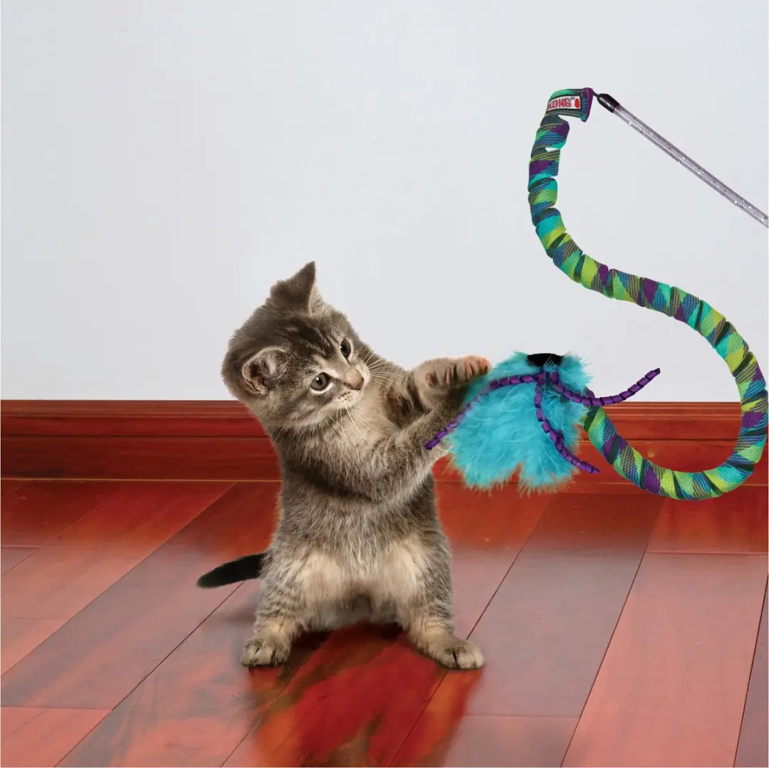 KONG Curlz Katten Speeltje - Turquoise/Paars