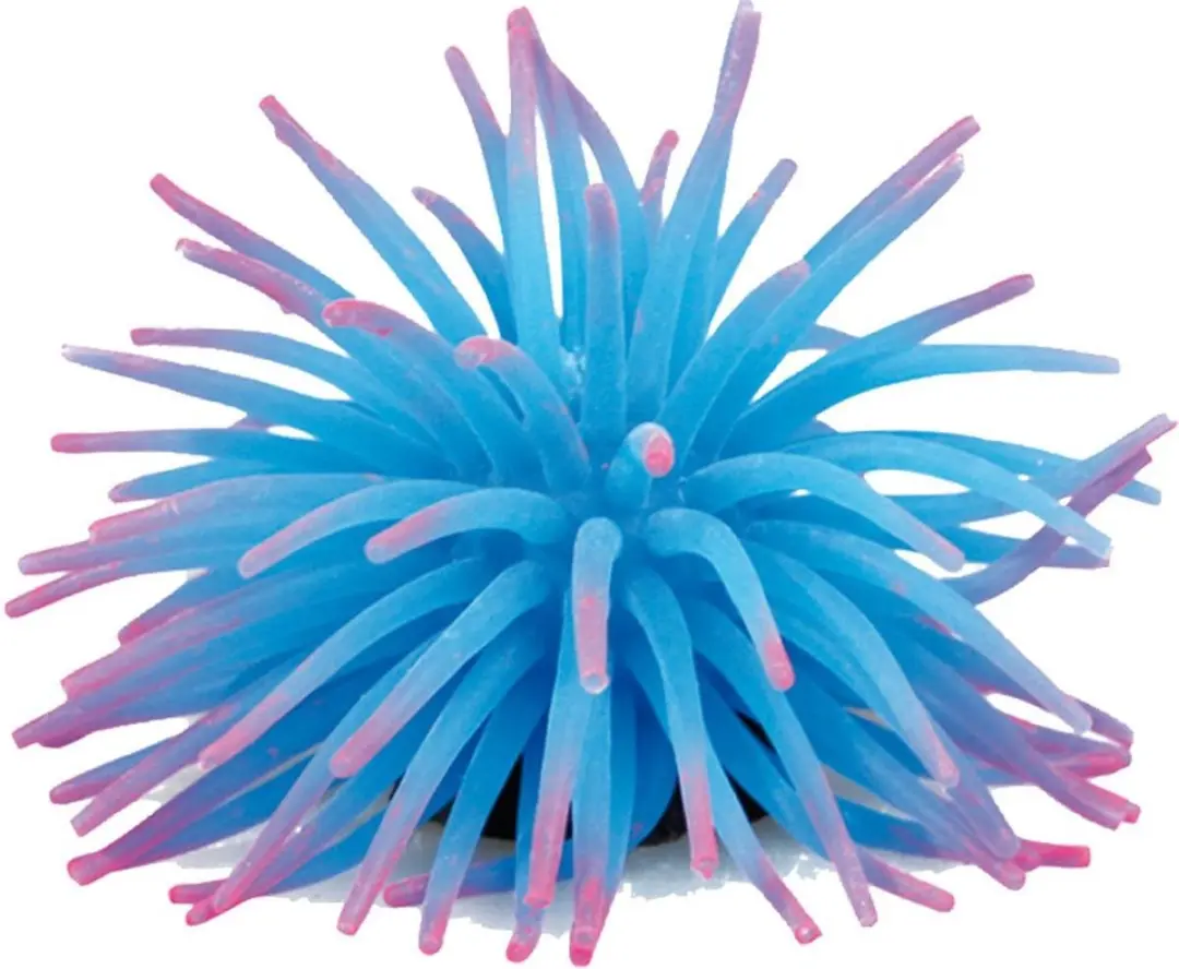 Flamingo Anemoon 5cm