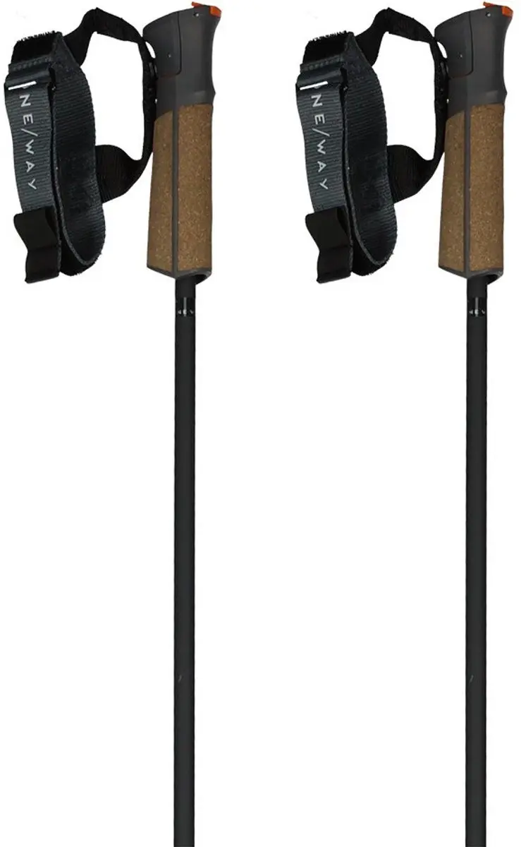 Fischer GT 11 Carbon Mag Stokken 135cm