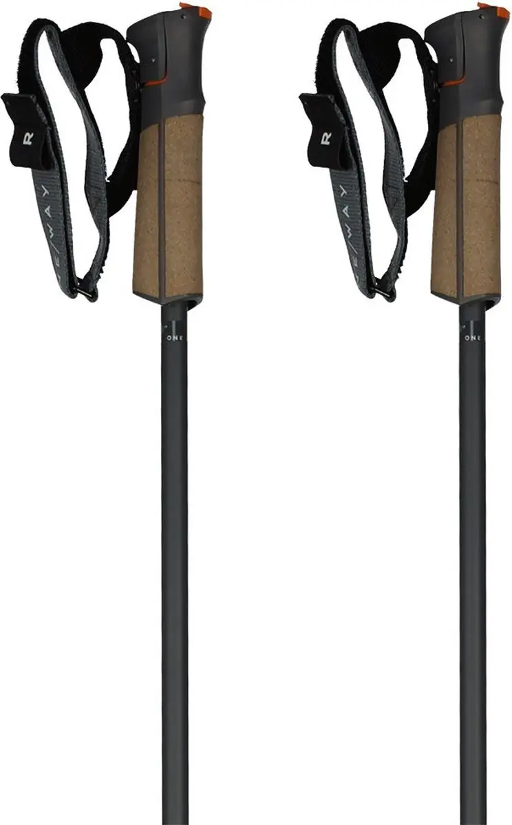 Fischer GT 13 Comp Mag Skistokken