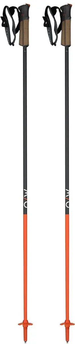 Fischer GT 13 Comp Mag Skistokken - 120cm - Bruin