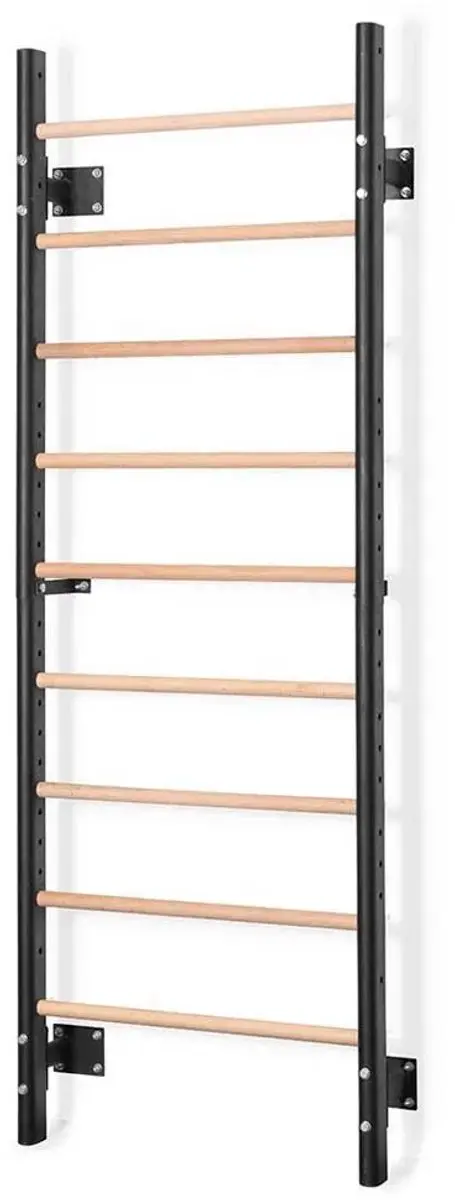 Gymstick Wood&Steel Wandrek