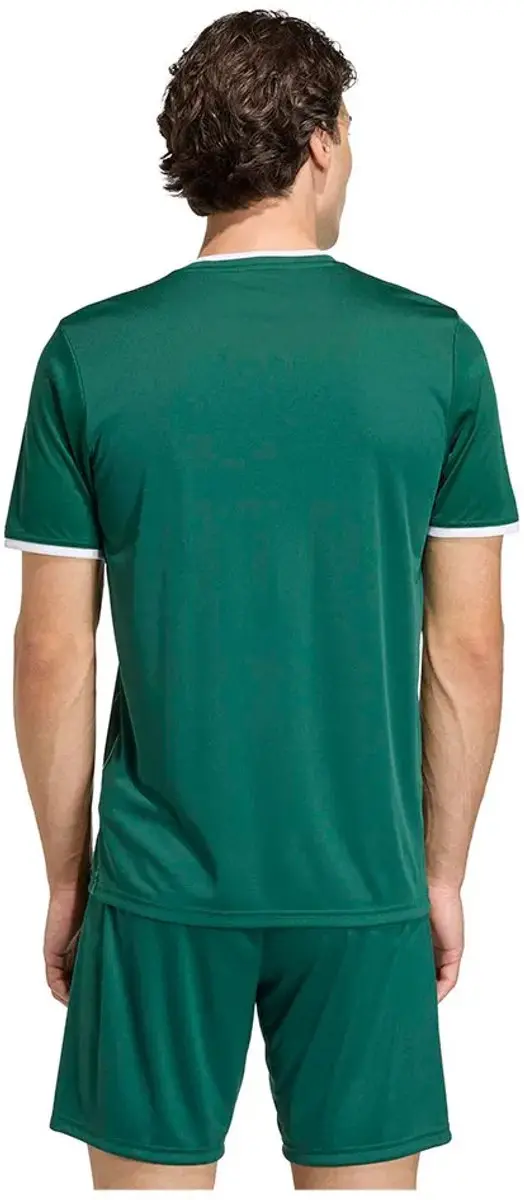 Adidas Entrada 26 Graphic T-shirt - M - Team Dark Green
