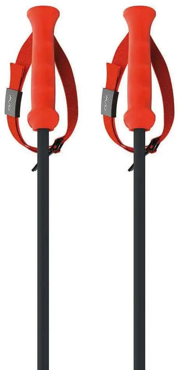 Fischer RD 13 Carbon Ski Stokken 135cm