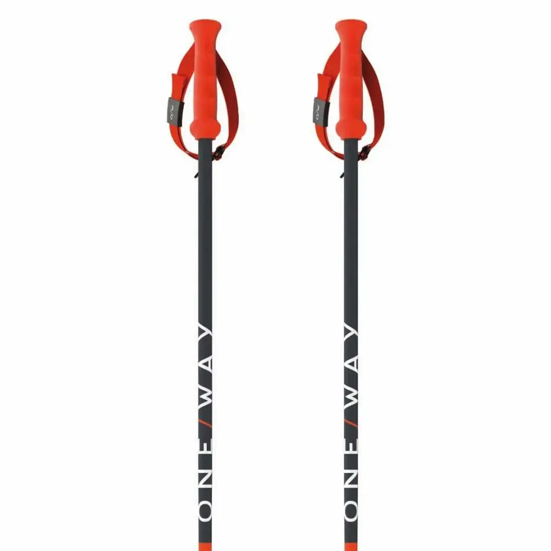Fischer Rd Sl Junior Stokken
