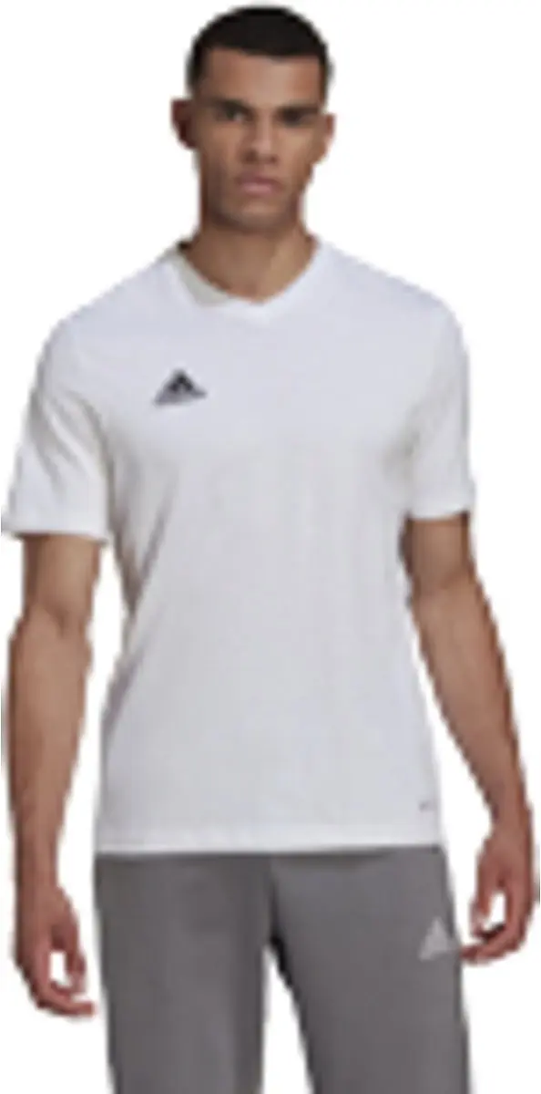 adidas Entrada 22 T-Shirt Heren H57540 - Wit