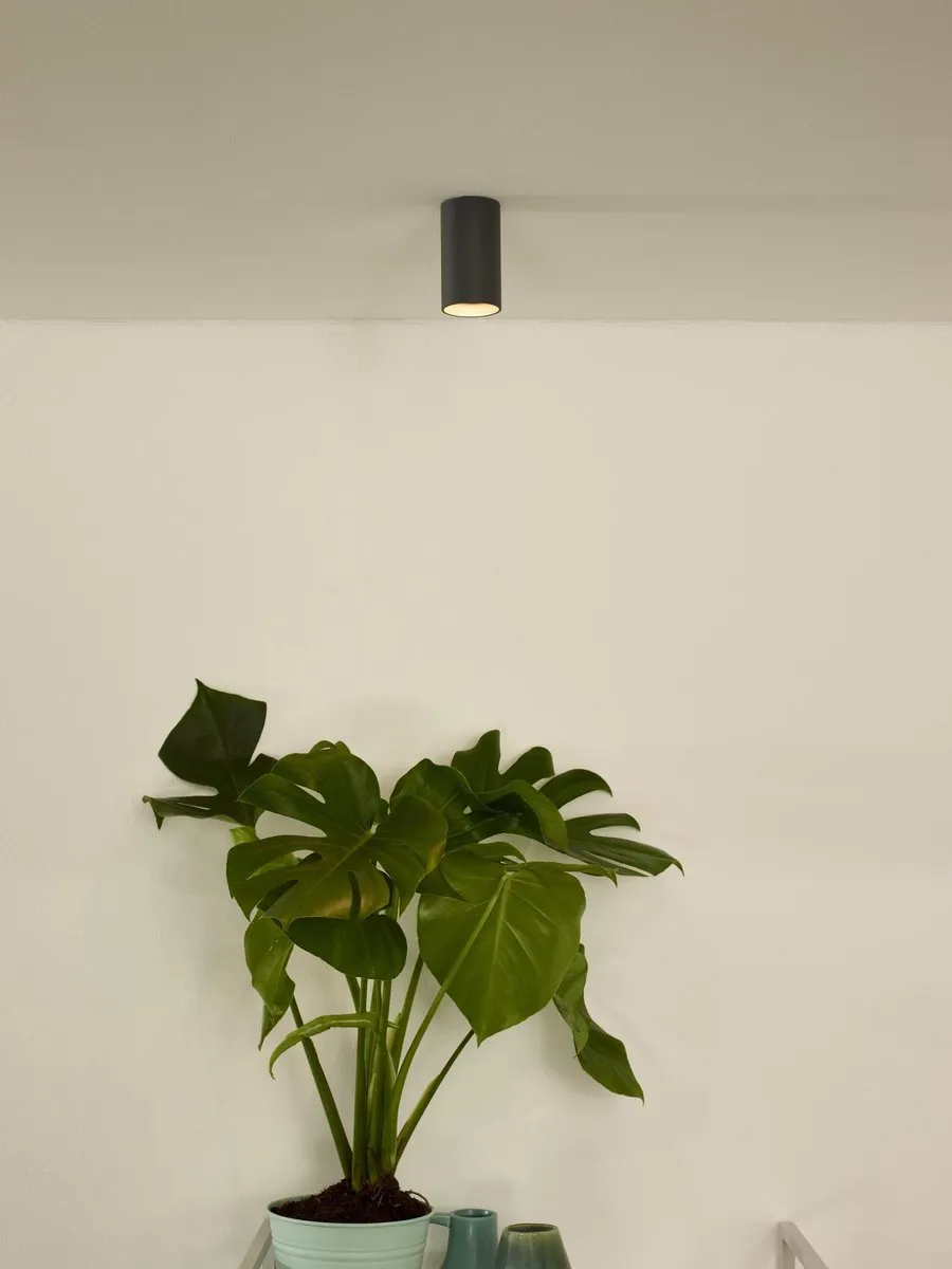 Lucide DELTO Plafondspot Ø5,5cm - LED Dim to Warm - Grijs