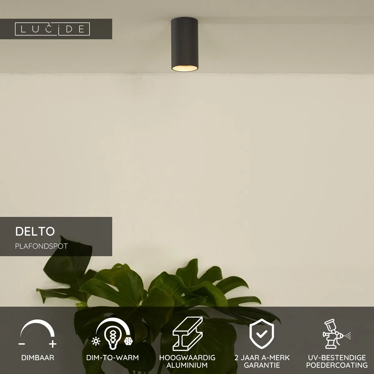 Lucide DELTO Plafondspot Ø5,5cm - LED Dim to Warm - Grijs