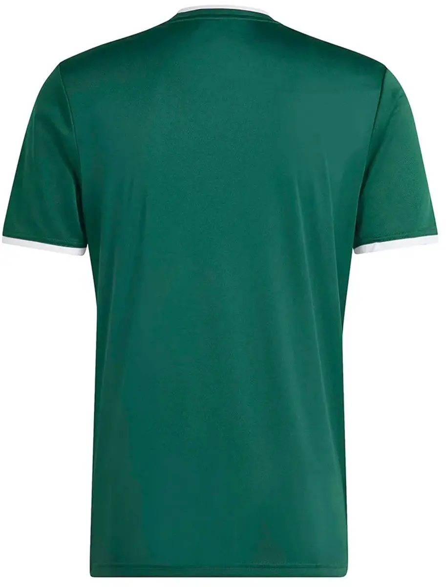 Adidas Entrada 26 Graphic T-shirt - L - Team Dark Green